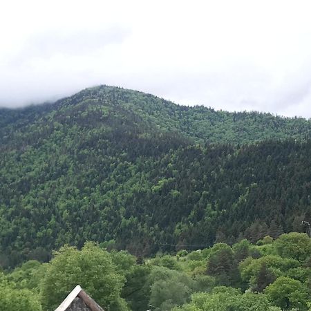 Zviad Guest House Borjomi Exterior foto