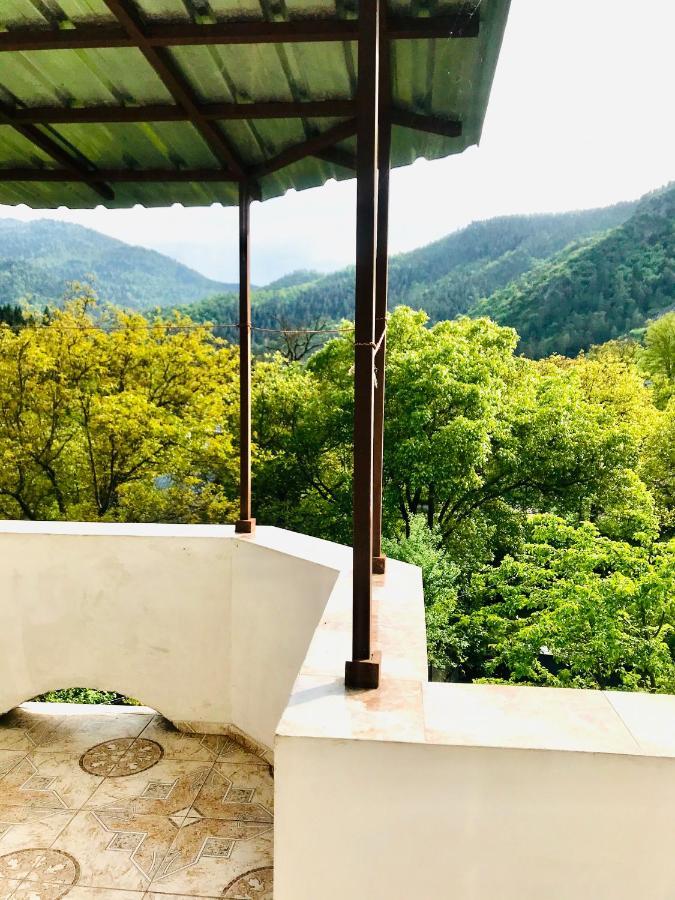 Zviad Guest House Borjomi Exterior foto