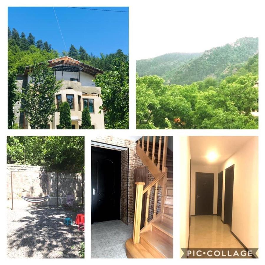 Zviad Guest House Borjomi Exterior foto